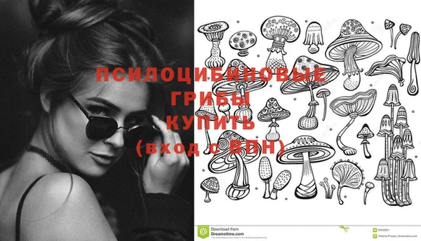 стафф Абдулино