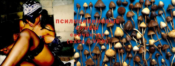 стафф Абдулино